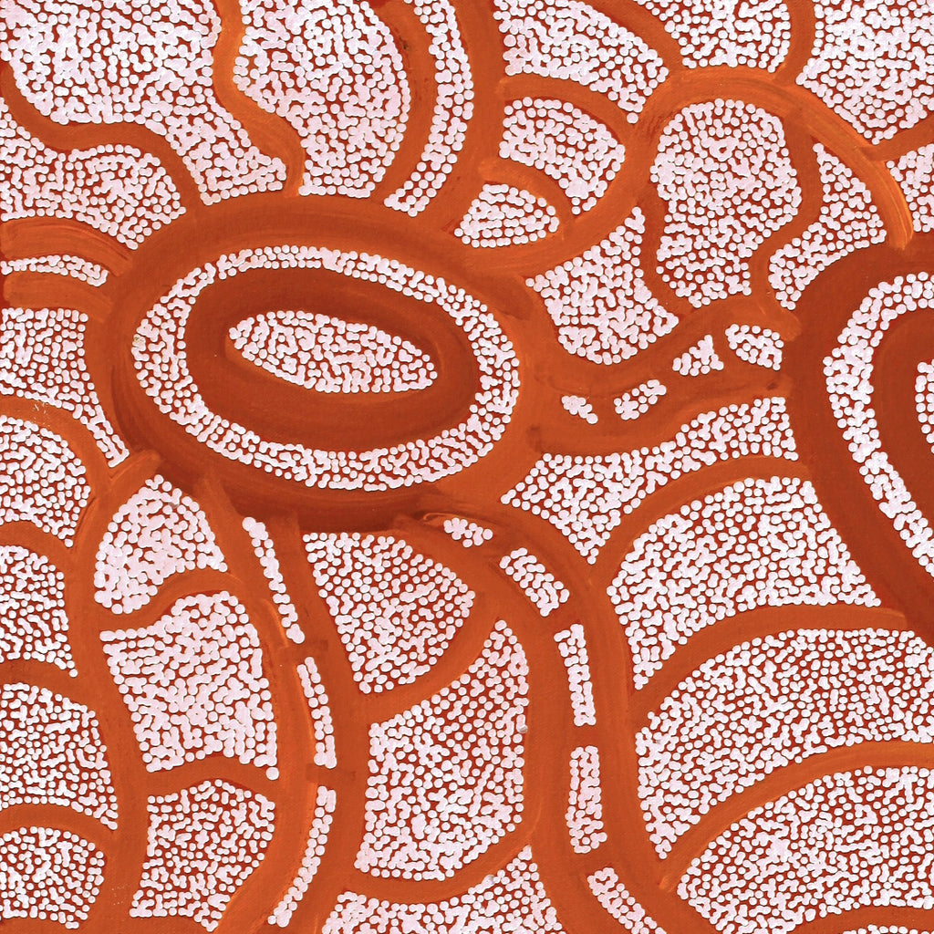 Aboriginal Artwork by Judith Nungarrayi Martin, Janganpa Jukurrpa (Brush-tail Possum Dreaming) - Mawurrji, 61x46cm