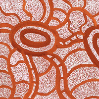 Aboriginal Artwork by Judith Nungarrayi Martin, Janganpa Jukurrpa (Brush-tail Possum Dreaming) - Mawurrji, 61x46cm