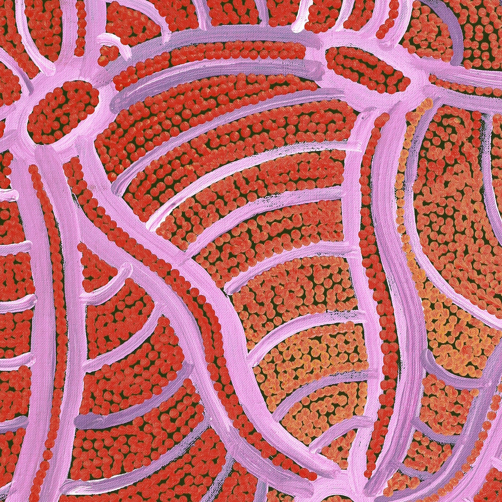 Aboriginal Artwork by Judith Nungarrayi Martin, Janganpa Jukurrpa (Brush-tail Possum Dreaming) - Mawurrji, 61x46cm