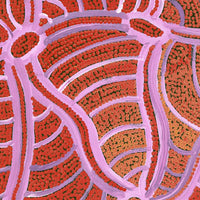 Aboriginal Artwork by Judith Nungarrayi Martin, Janganpa Jukurrpa (Brush-tail Possum Dreaming) - Mawurrji, 61x46cm