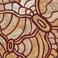 Aboriginal Artwork by Judith Nungarrayi Martin, Janganpa Jukurrpa (Brush-tail Possum Dreaming) - Mawurrji, 91x91cm