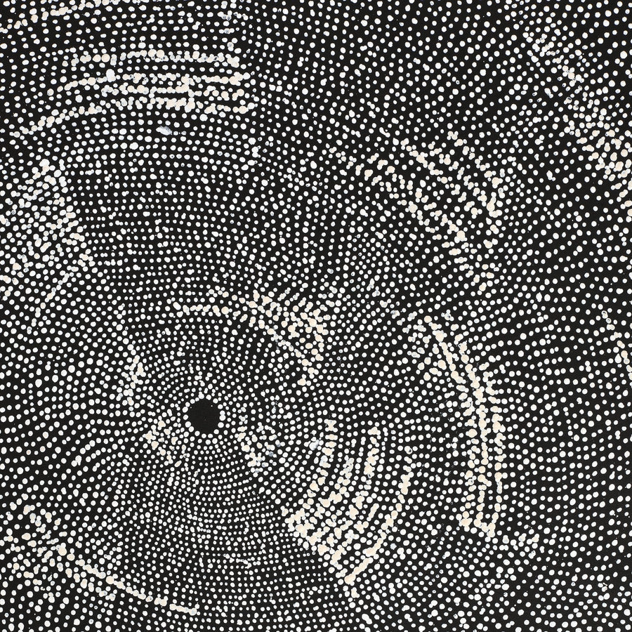 Aboriginal Artwork by Julie Nangala Robertson, Ngapa Jukurrpa (Water Dreaming) - Pirlinyarnu, 152x91cm