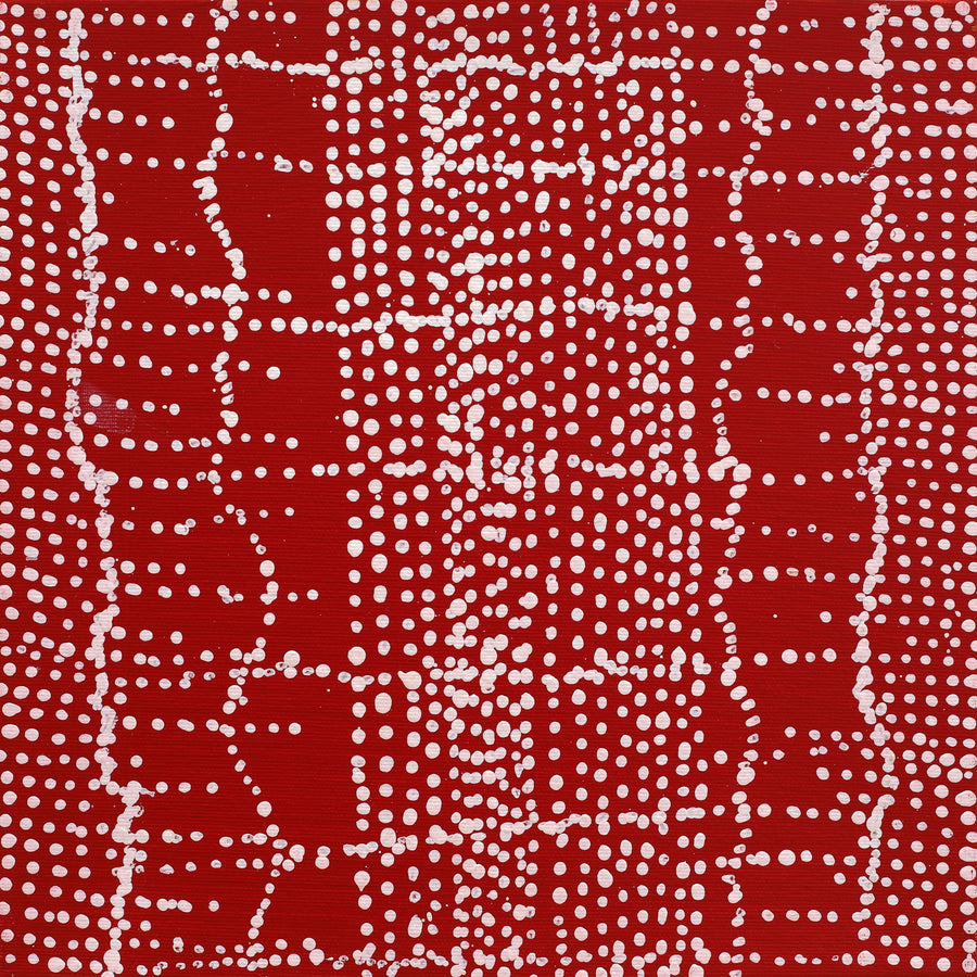 Aboriginal Artwork by Julie Nangala Robertson, Ngapa Jukurrpa (Water Dreaming) - Pirlinyarnu, 30x30cm