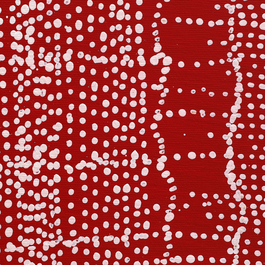 Aboriginal Artwork by Julie Nangala Robertson, Ngapa Jukurrpa (Water Dreaming) - Pirlinyarnu, 30x30cm