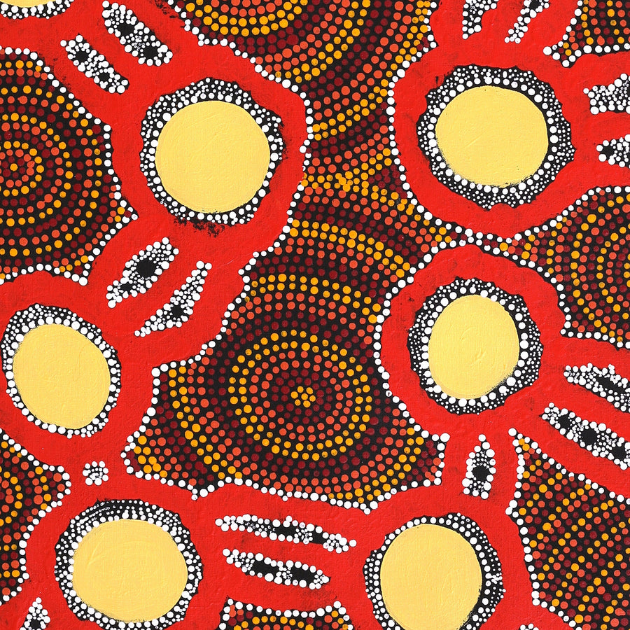 Aboriginal Artwork by Juliette Nakamarra Morris, Wanakiji Jukurrpa (Bush Tomato Dreaming), 91x76cm