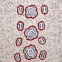 Aboriginal Artwork by Kara Napangardi Ross, Pamapardu Jukurrpa (Flying Ant Dreaming) - Warntungurru, 30x30cm