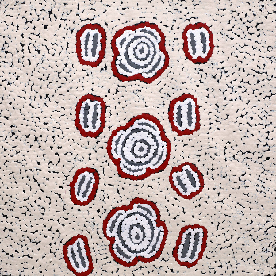 Aboriginal Artwork by Kara Napangardi Ross, Pamapardu Jukurrpa (Flying Ant Dreaming) - Warntungurru, 30x30cm