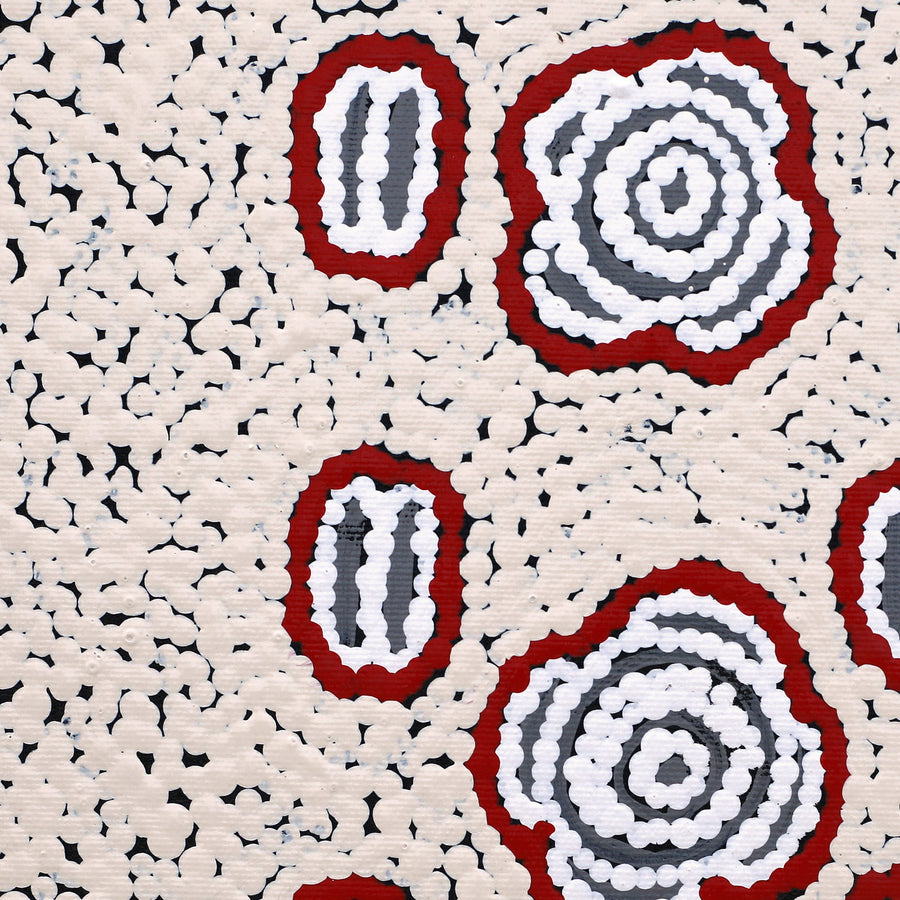 Aboriginal Artwork by Kara Napangardi Ross, Pamapardu Jukurrpa (Flying Ant Dreaming) - Warntungurru, 30x30cm