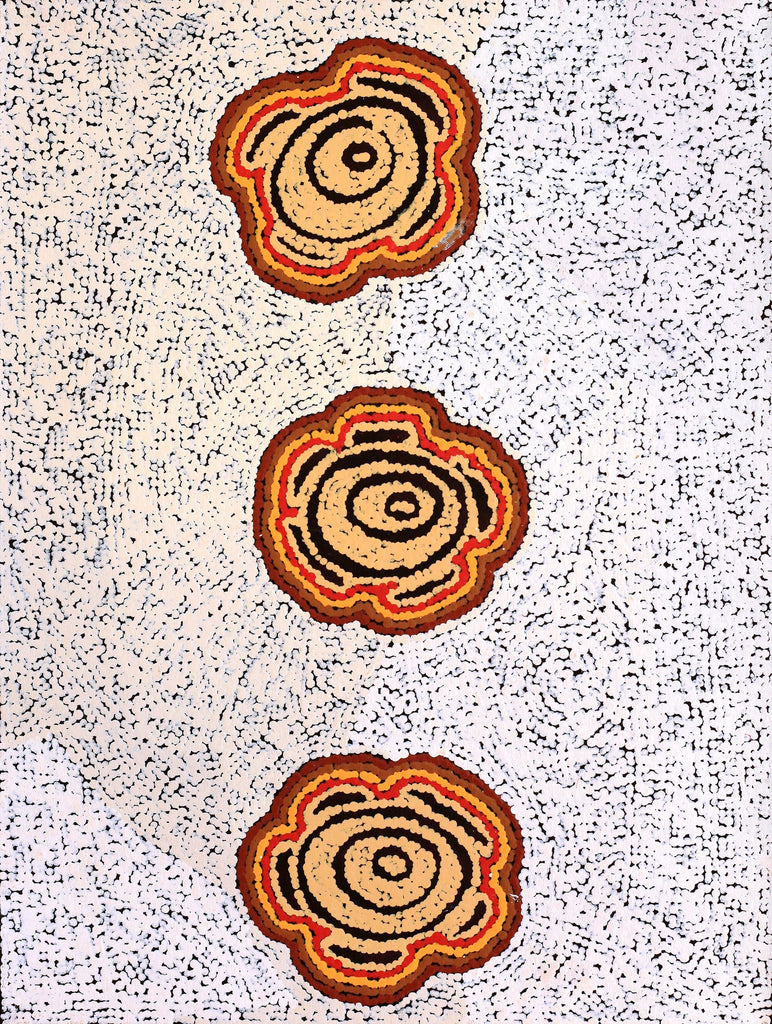 Aboriginal Artwork by Kara Napangardi Ross, Pamapardu Jukurrpa (Flying Ant Dreaming) - Warntungurru, 61x46cm