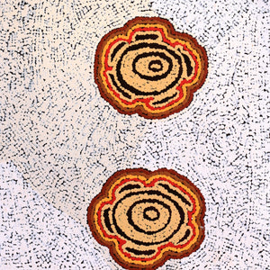 Aboriginal Art by Kara Napangardi Ross, Pamapardu Jukurrpa (Flying Ant Dreaming) - Warntungurru, 61x46cm - ART ARK®