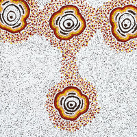 Aboriginal Artwork by Kara Napangardi Ross, Pamapardu Jukurrpa (Flying Ant Dreaming) - Warntungurru, 91x61cm