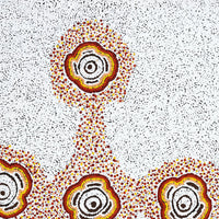 Aboriginal Artwork by Kara Napangardi Ross, Pamapardu Jukurrpa (Flying Ant Dreaming) - Warntungurru, 91x61cm