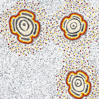 Aboriginal Artwork by Kara Napangardi Ross, Pamapardu Jukurrpa (Flying Ant Dreaming) - Warntungurru, 91x76cm