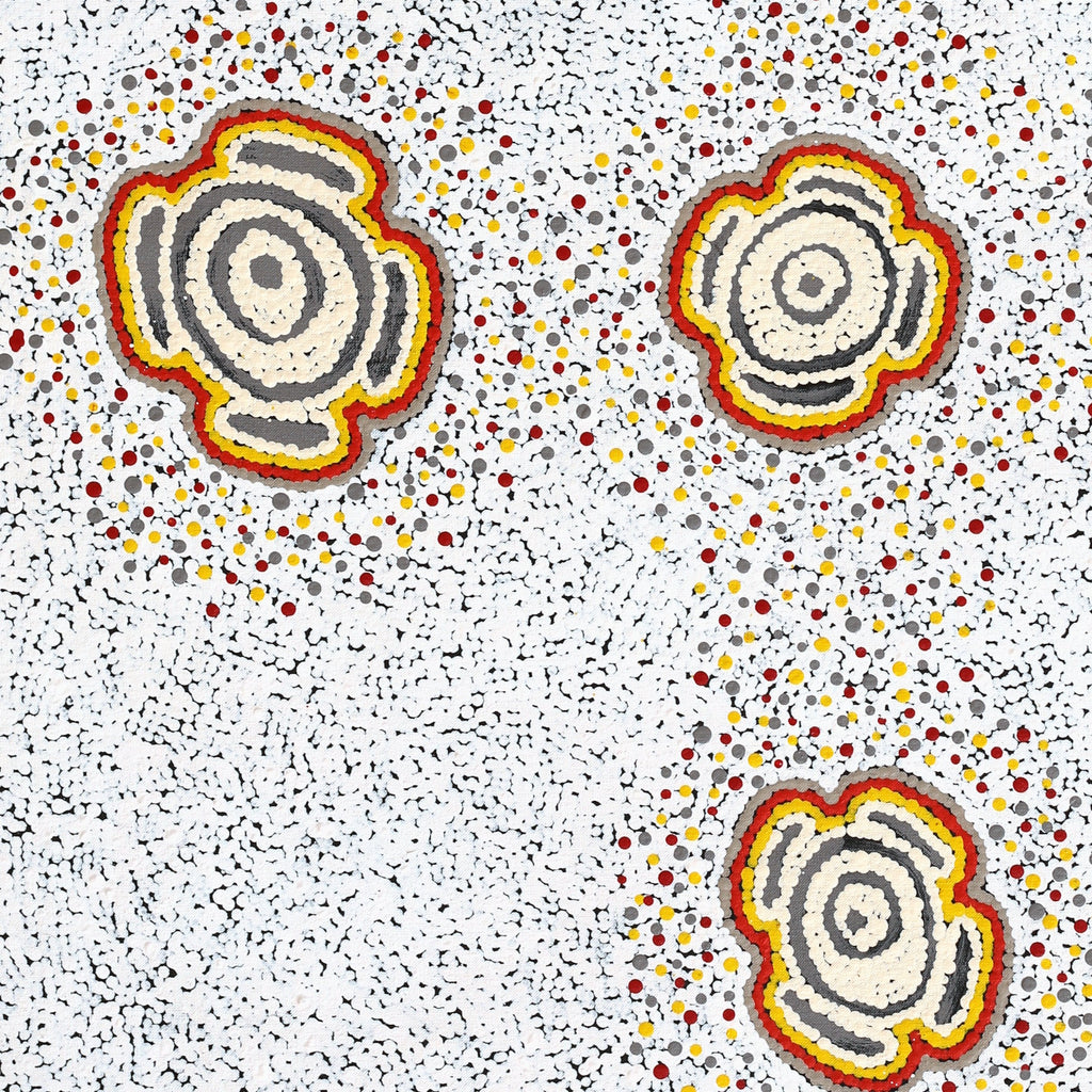 Aboriginal Art by Kara Napangardi Ross, Pamapardu Jukurrpa (Flying Ant Dreaming) - Warntungurru, 91x76cm - ART ARK®