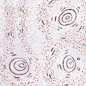 Aboriginal Art by Kara Napangardi Ross, Pamapardu Jukurrpa (Flying Ant Dreaming) - Warntungurru, 91x91cm - ART ARK®