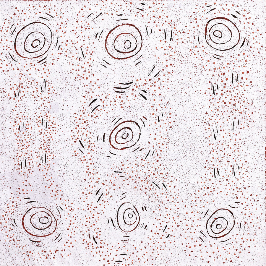Aboriginal Artwork by Kara Napangardi Ross, Pamapardu Jukurrpa (Flying Ant Dreaming) - Warntungurru, 91x91cm