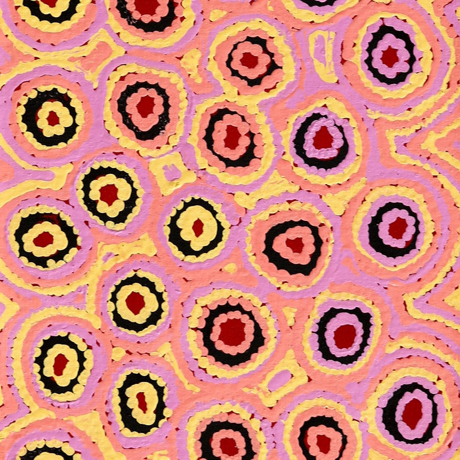 Aboriginal Artwork by Kelly Napangardi Michaels, Mina Mina Dreaming - Ngalyipi, 122x30cm