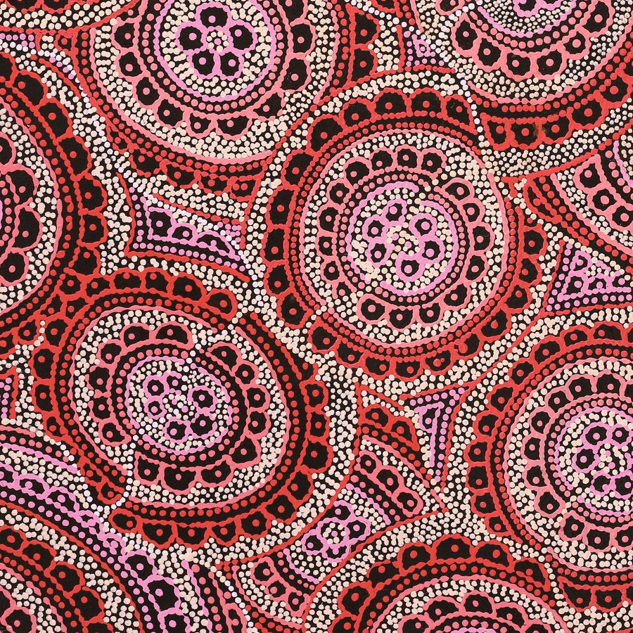 Aboriginal Artwork by Kirsty-Anne Napanangka Martin, Ngalyipi Jukurrpa (Snakevine Dreaming) - Mina Mina, 107x76cm