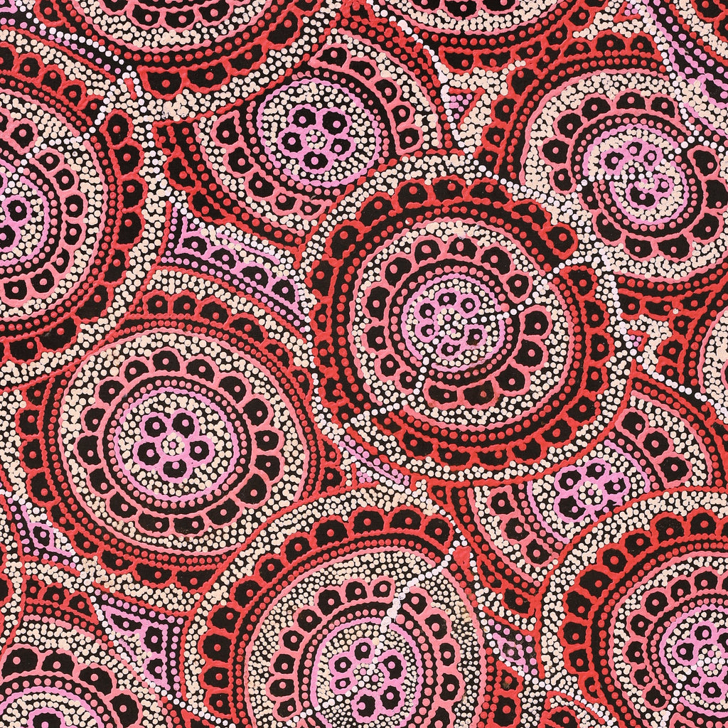 Aboriginal Artwork by Kirsty-Anne Napanangka Martin, Ngalyipi Jukurrpa (Snakevine Dreaming) - Mina Mina, 107x76cm