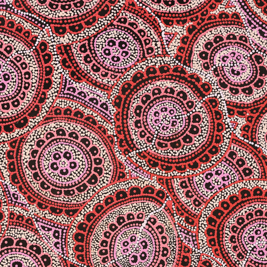 Aboriginal Artwork by Kirsty-Anne Napanangka Martin, Ngalyipi Jukurrpa (Snakevine Dreaming) - Mina Mina, 107x76cm