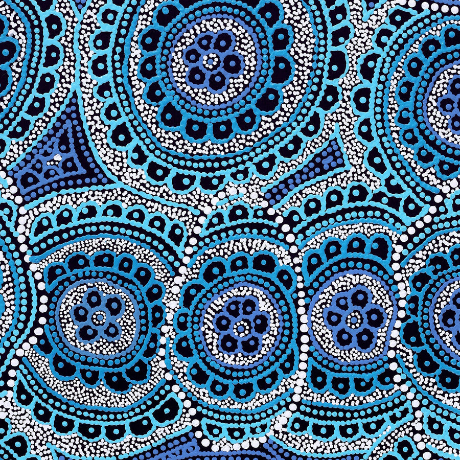 Aboriginal Artwork by Kirsty-Anne Napanangka Martin, Ngalyipi Jukurrpa (Snakevine Dreaming) - Mina Mina, 91x46cm