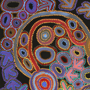 Aboriginal Artwork by Lee Nangala Gallagher, Yankirri Jukurrpa (Emu Dreaming) - Ngarlikurlangu, 91x61cm - ART ARK®