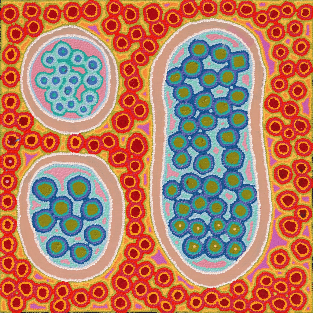 Aboriginal Artwork by Letitia Nungarrayi Bartlett, Winparrku - Mt Webb Dreaming, 61x61cm