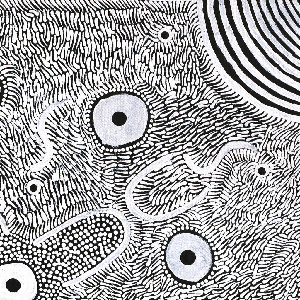 Aboriginal Artwork by Lindy Nangala Briscoe, Karnta Jukurrpa (Womens Dreaming), 46x46cm