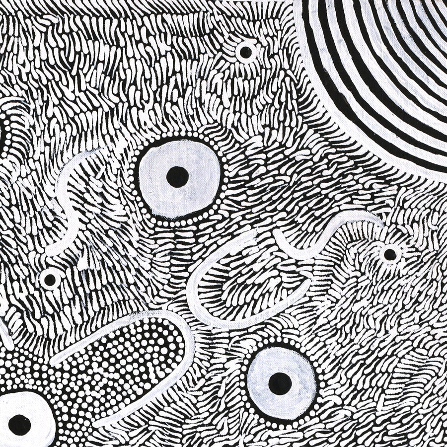 Aboriginal Artwork by Lindy Nangala Briscoe, Karnta Jukurrpa (Womens Dreaming), 46x46cm