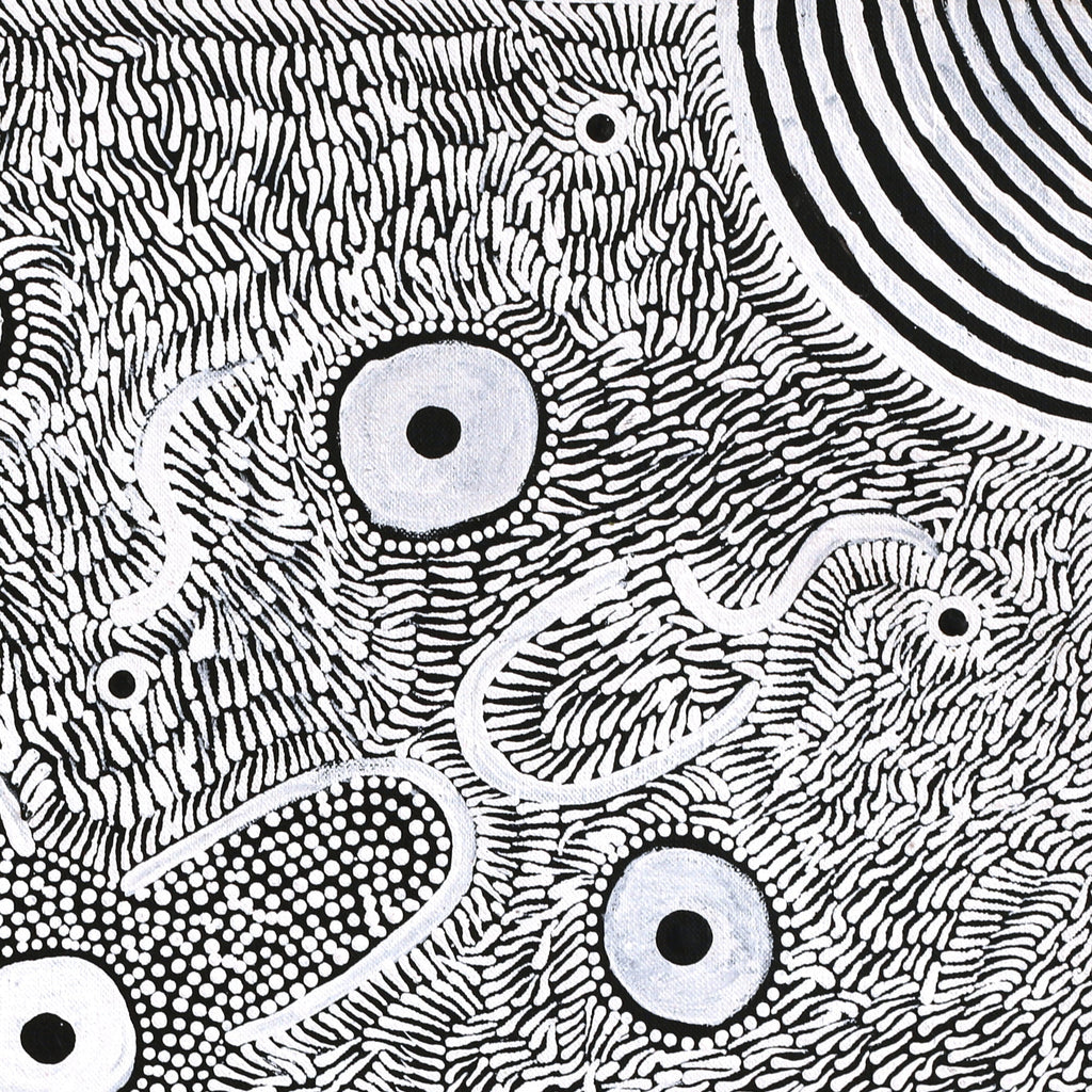 Aboriginal Art by Lindy Nangala Briscoe, Karnta Jukurrpa (Womens Dreaming), 46x46cm - ART ARK®
