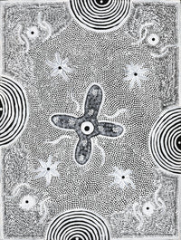 Aboriginal Artwork by Lindy Nangala Briscoe, Watiya-warnu Jukurrpa (Seed Dreaming), 61x46cm