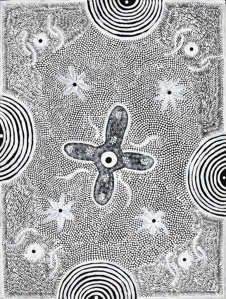Aboriginal Artwork by Lindy Nangala Briscoe, Watiya-warnu Jukurrpa (Seed Dreaming), 61x46cm