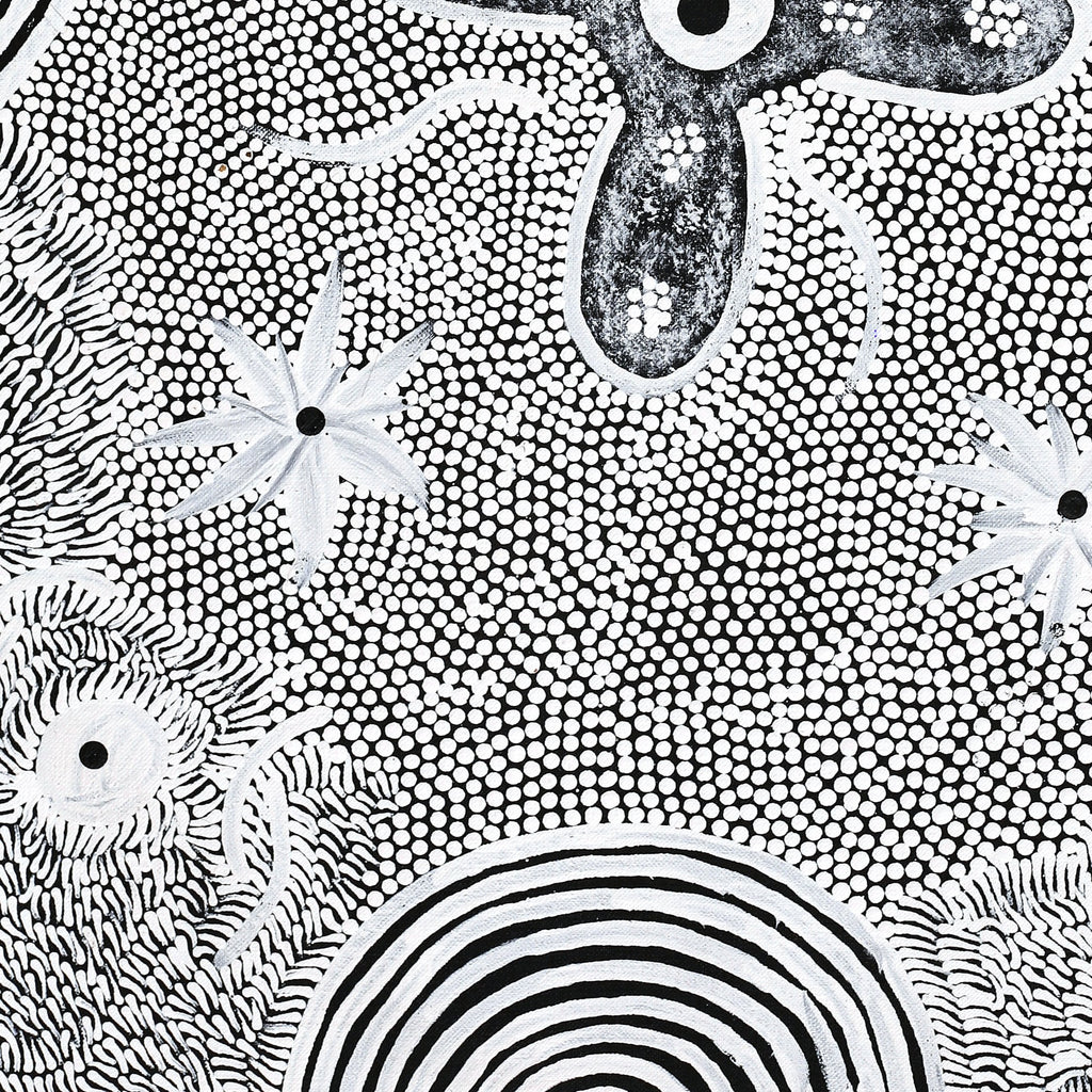 Aboriginal Artwork by Lindy Nangala Briscoe, Watiya-warnu Jukurrpa (Seed Dreaming), 61x46cm
