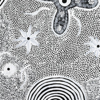 Aboriginal Artwork by Lindy Nangala Briscoe, Watiya-warnu Jukurrpa (Seed Dreaming), 61x46cm