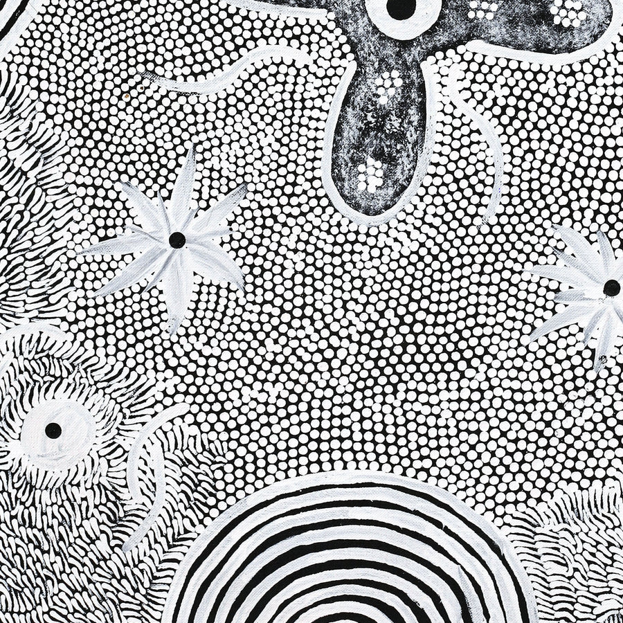 Aboriginal Artwork by Lindy Nangala Briscoe, Watiya-warnu Jukurrpa (Seed Dreaming), 61x46cm