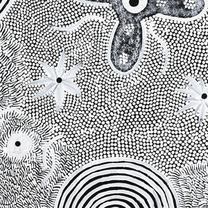 Aboriginal Art by Lindy Nangala Briscoe, Watiya-warnu Jukurrpa (Seed Dreaming), 61x46cm - ART ARK®
