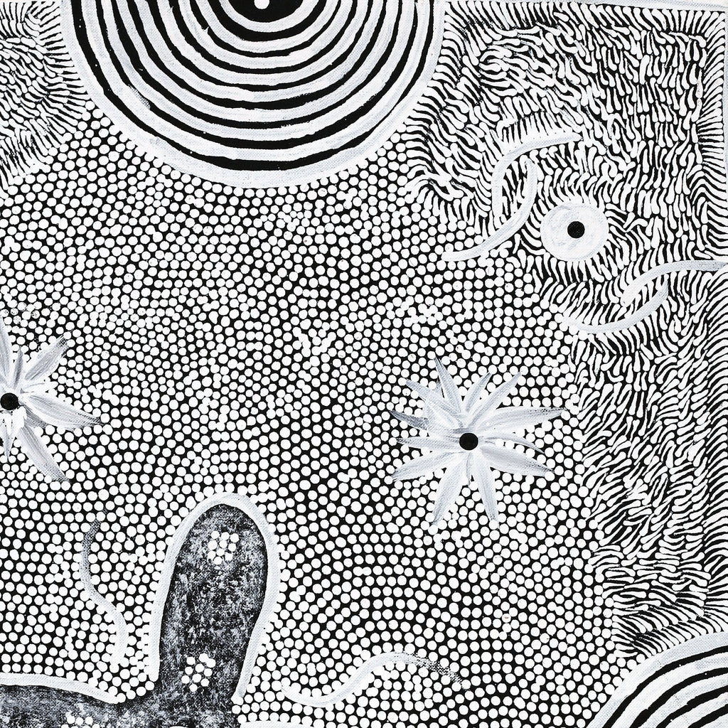 Aboriginal Artwork by Lindy Nangala Briscoe, Watiya-warnu Jukurrpa (Seed Dreaming), 61x46cm