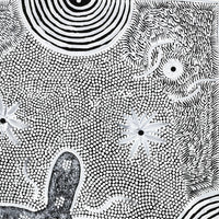 Aboriginal Artwork by Lindy Nangala Briscoe, Watiya-warnu Jukurrpa (Seed Dreaming), 61x46cm