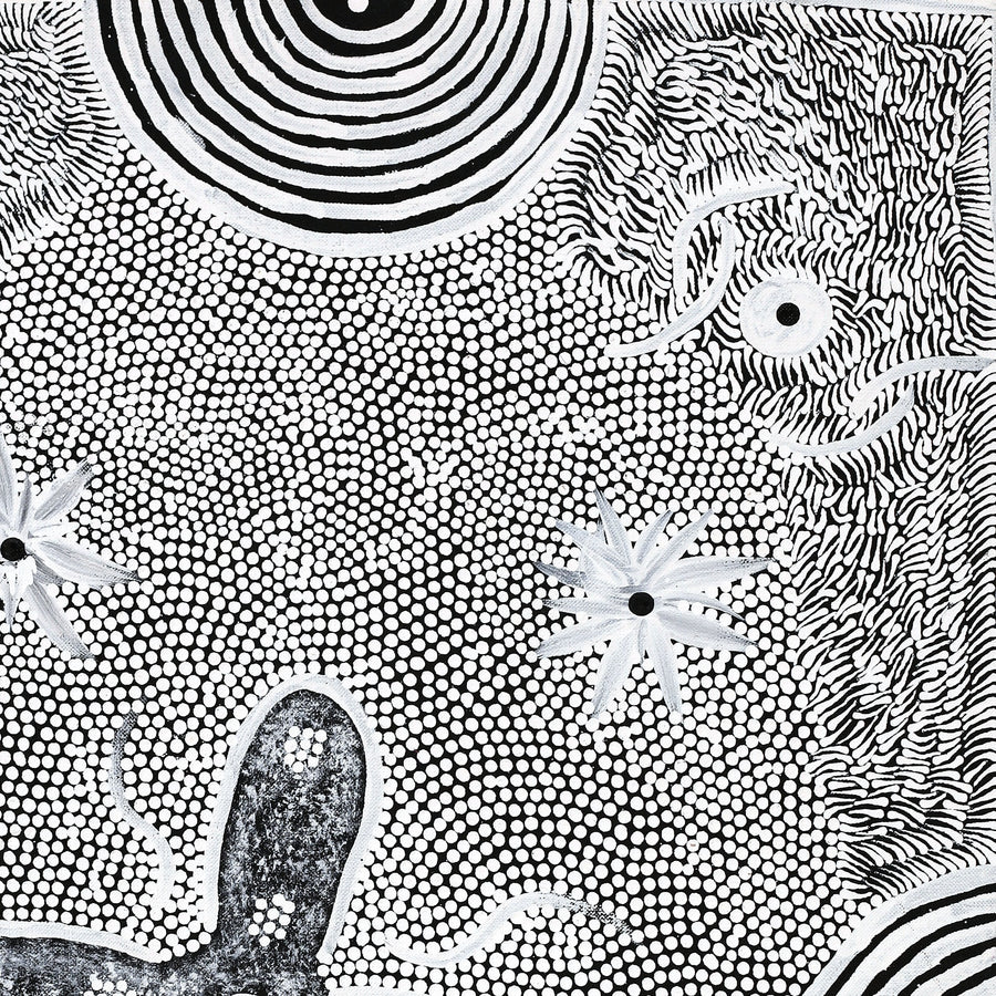 Aboriginal Artwork by Lindy Nangala Briscoe, Watiya-warnu Jukurrpa (Seed Dreaming), 61x46cm