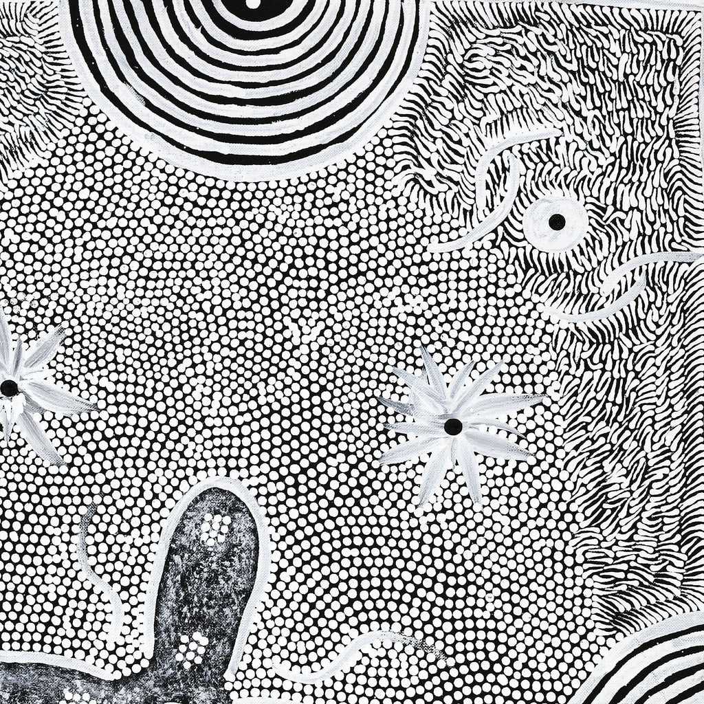 Aboriginal Art by Lindy Nangala Briscoe, Watiya-warnu Jukurrpa (Seed Dreaming), 61x46cm - ART ARK®