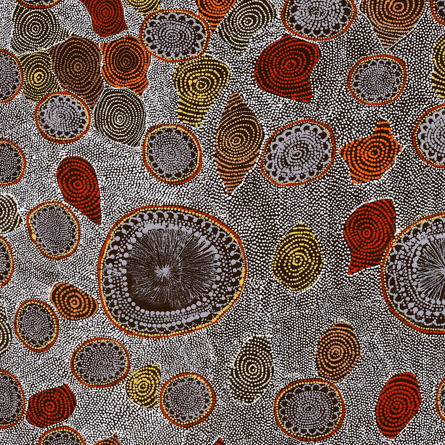 Aboriginal Artwork by Lola Nampijinpa Brown, Ngapa Jukurrpa - Mikanji, 107x76cm