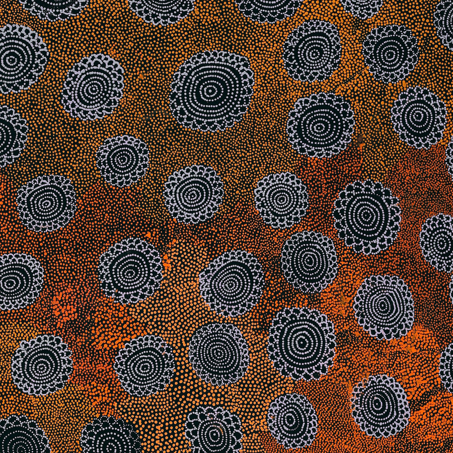 Aboriginal Artwork by Lola Nampijinpa Brown, Ngapa Jukurrpa - Mikanji, 107x76cm