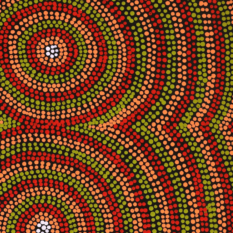 Aboriginal Artwork by Lorraine Napangardi Wheeler, Lukarrara Jukurrpa, 61x46cm