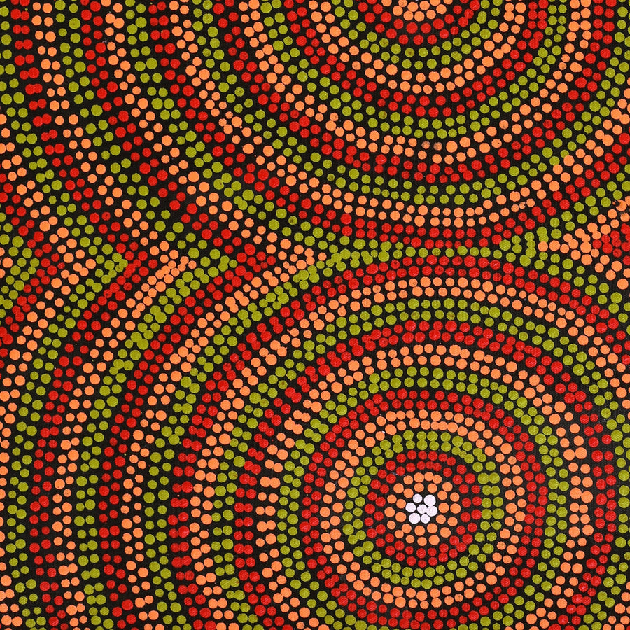 Aboriginal Artwork by Lorraine Napangardi Wheeler, Lukarrara Jukurrpa, 61x46cm