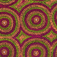 Aboriginal Artwork by Lorraine Napangardi Wheeler, Lukarrara Jukurrpa, 91x46cm