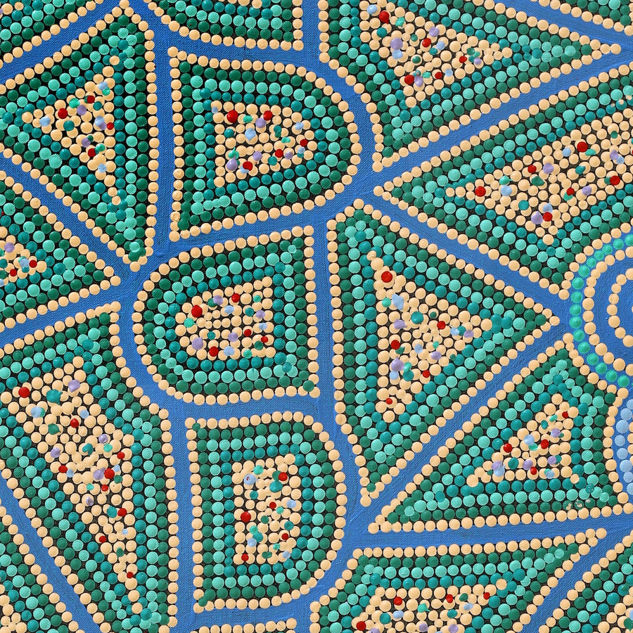 Aboriginal Artwork by Louise Nangala Egan, Ngapa Jukurrpa (Water Dreaming) - Puyurru, 91x61cm