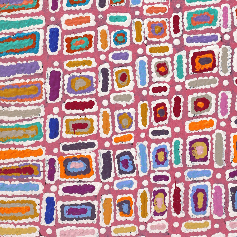 Aboriginal Artwork by Lynette Nangala Singleton, Ngapa Jukurrpa - Puyurru, 76x46cm