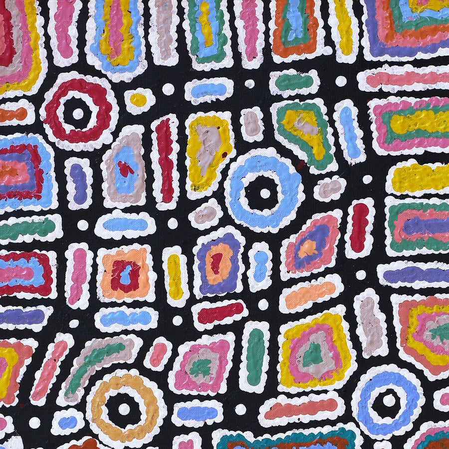 Aboriginal Artwork by Lynette Nangala Singleton, Ngapa Jukurrpa - Puyurru, 91x30cm