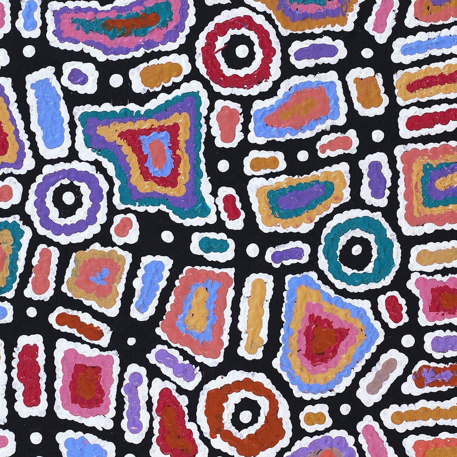 Aboriginal Artwork by Lynette Nangala Singleton, Ngapa Jukurrpa - Puyurru, 91x30cm