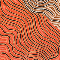 Aboriginal Artwork by Madeleine Napangardi Dixon, Majardi Jukurrpa (Hairstring Belt/Skirt or Tassel Dreaming) - Mina Mina, 107x46cm